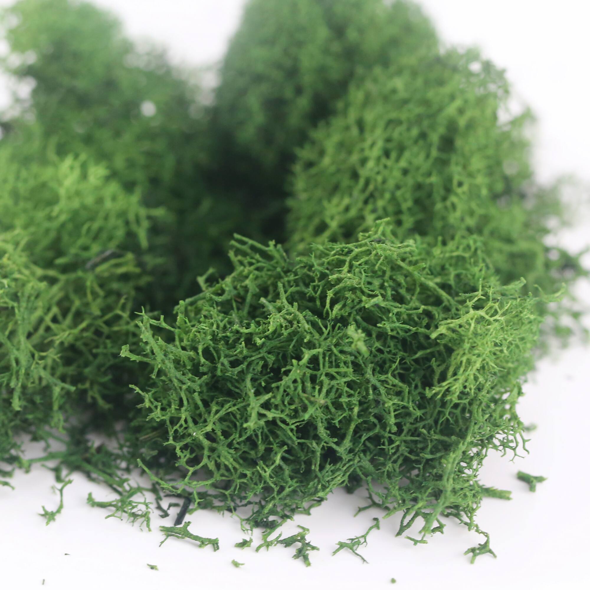 Mini Scenery Plants by Make Market®